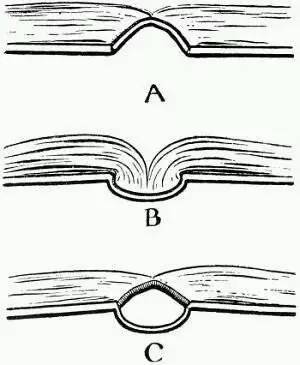 book print.jpg
